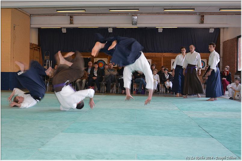 jujitsu (44)