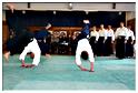 jujitsu (45)