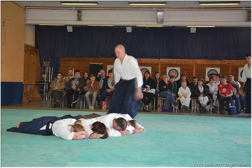 jujitsu (47)