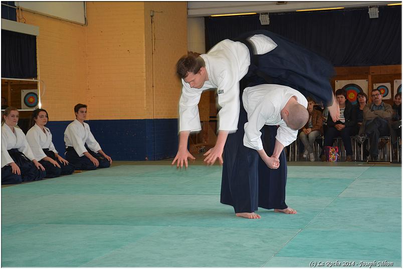 jujitsu (49)