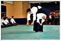 jujitsu (49)