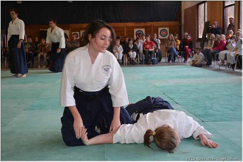 jujitsu (50)