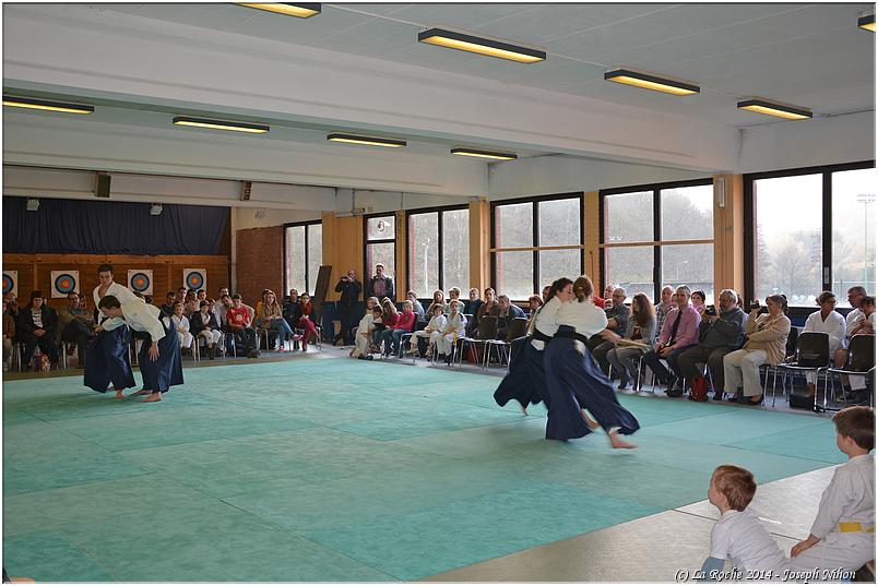 jujitsu (52)