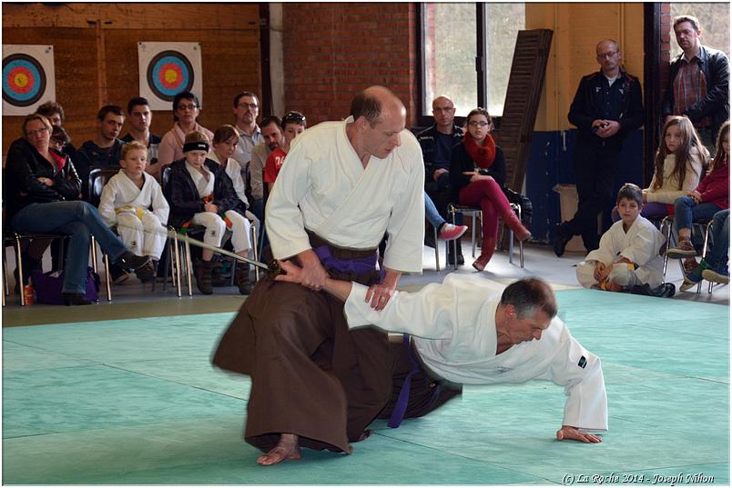 jujitsu (54)