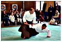 jujitsu (54)