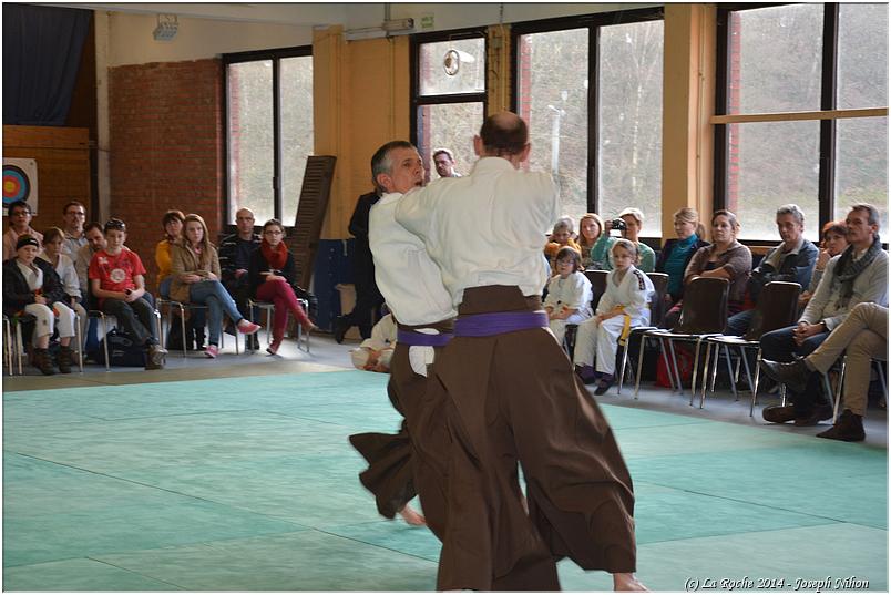 jujitsu (55)