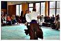 jujitsu (55)