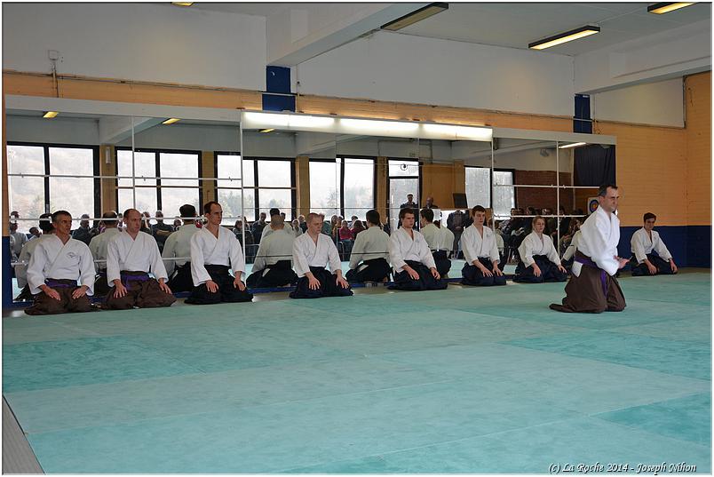 jujitsu (56)