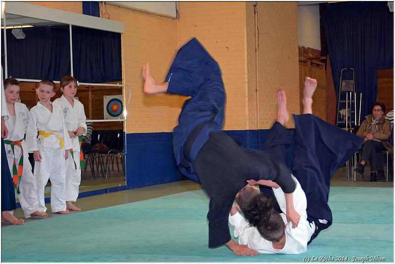 jujitsu (67)