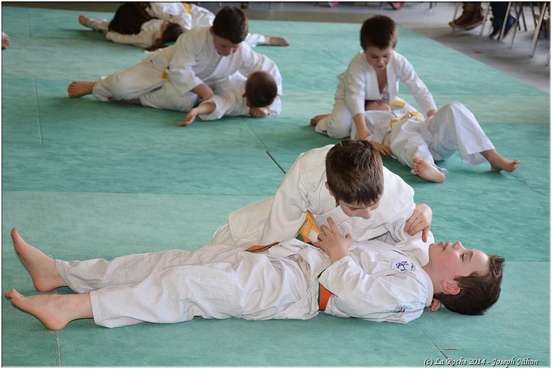 jujitsu (37)