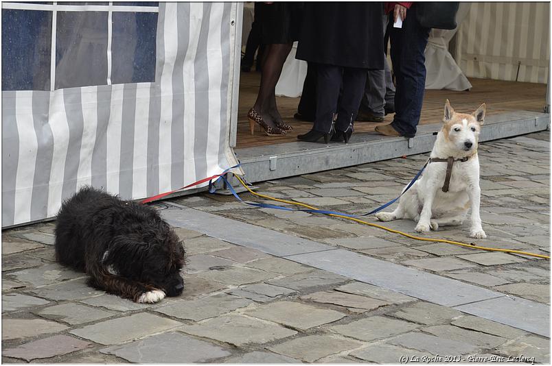 la_roche_en_art'denne (68)