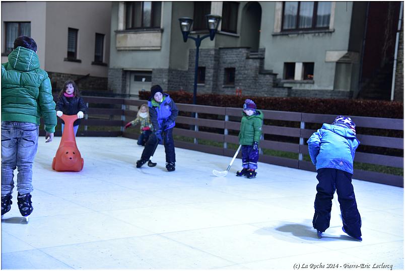 la_roche_en_hiver_2014 (53)