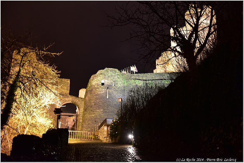 la_roche_en_hiver_2014 (149)
