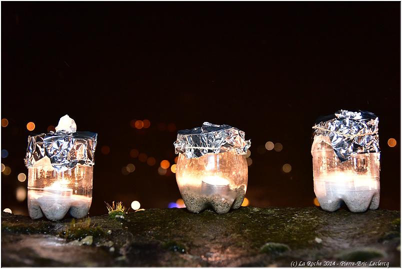 la_roche_en_hiver_2014 (166)