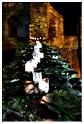 la_roche_en_hiver_2014 (182)