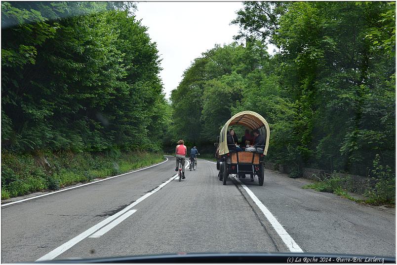 maboge_cab_2014 (13)