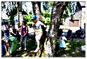 marche_disney_samree_2015 (62)