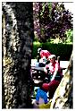 marche_disney_samree_2015 (66)