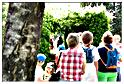 marche_disney_samree_2015 (70)