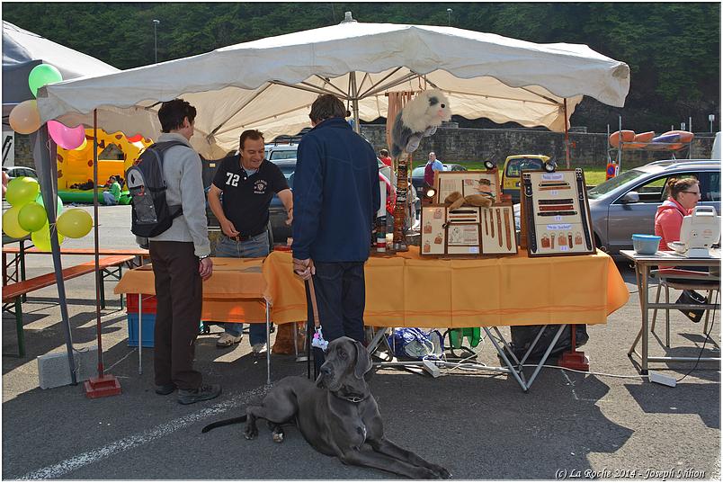 marche_druide_2014 (32)
