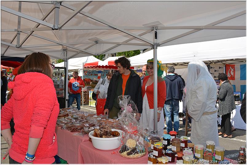 marche_druide_2014 (77)