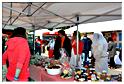 marche_druide_2014 (77)