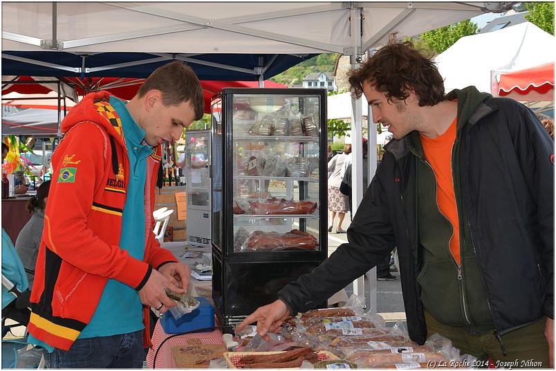marche_druide_2014 (78)