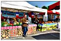 marche_druide_2014 (82)