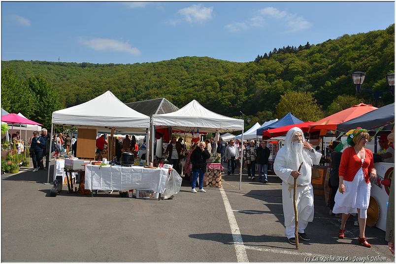 marche_druide_2014 (84)