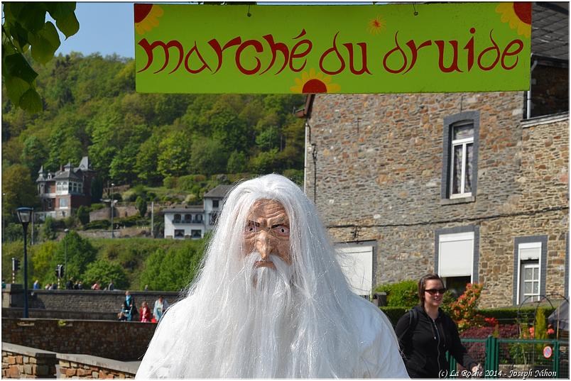 marche_druide_2014 (88)