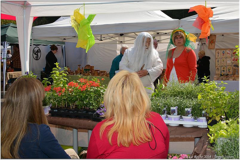 marche_druide_2014 (92)