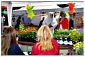 marche_druide_2014 (92)