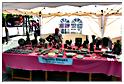 marche_druide_2015 (2)