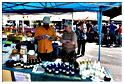 marche_druide_2015 (12)