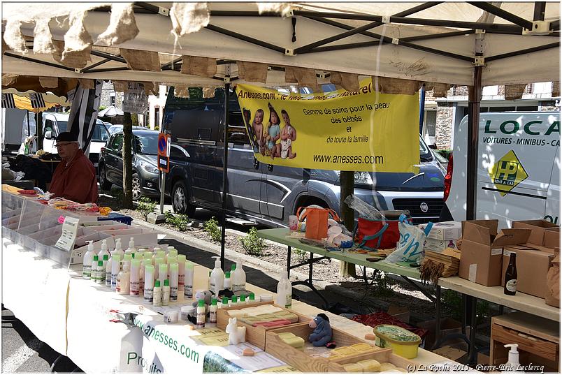 marche_druide_2015 (6)