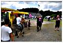 marche_gourmand_berismenil_2012 (29)