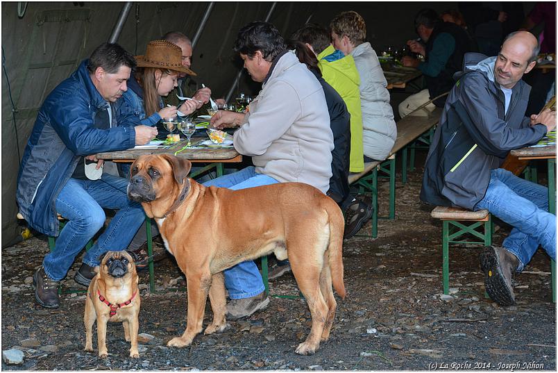 marche_gourmande_berismenil_2014 (39)