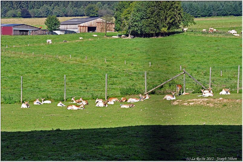 marche_gourmande_ortho_2012 (65)