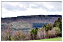 herlinval_marche_2012 (33)