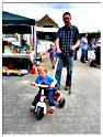 marche_hives_2013 (28)