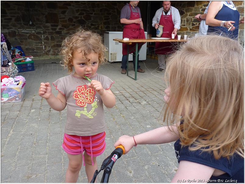 marche_hives_2013 (33)