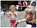 marche_hives_2013 (33)