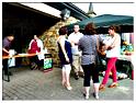 marche_hives_2013 (35)