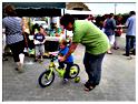 marche_hives_2013 (37)