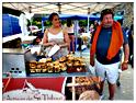 marche_hives_2013 (41)