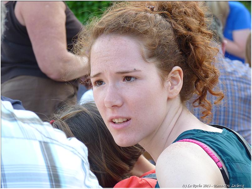 marche_hives_2013 (22)