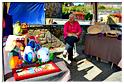 marche_hives_2014 (2)