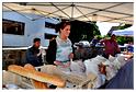 marche_hives_2014 (5)