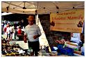 marche_hives_2014 (8)