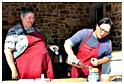 marche_hives_2014 (11)